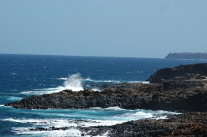 Charco del palo Lanzarote naturistreiser